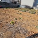 좋은공인중개사사사무소 이미지