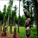 절물자연휴양림 이미지