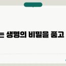 나사 이미지