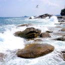 설악산과동해바다그리고온천 이미지