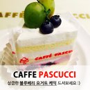 파스쿠찌울산성남점 이미지