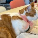 달에물들다 힐링스테이 이미지