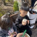 제이제이키즈 | 여주 프리미엄 아울렛 봄나들이 후기🌸 벚꽃·키즈놀이터·쇼핑 총정리