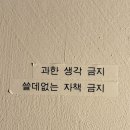팔로우지 | 덥지만 즐거워
