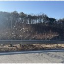 라파엘메디케어 이미지