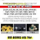 예진성형외과의원