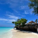 숙소 고르기 / 능위 숙소 추천 - 제노비아 비치 리조트 잔지바르(Zenobia Beach Resort Zanzibar) 후기