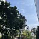 리밸런스한의원 | 턱관절비대칭치료한의원 안면비대칭 골타 치료 후기