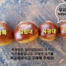 옥광 네이버블로그