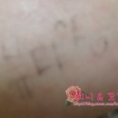 아리따움(아모레) 티스토리