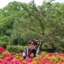 선동초등학교 이미지