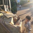 꽃내음풀내음해돋이유치원 이미지