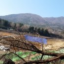 부산칸트리클럽 네이버블로그