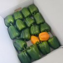 청파농장 이미지