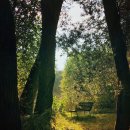 민플란트치과의원 이미지