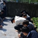 흥성농장 이미지