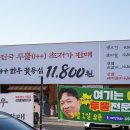 화순읍 청전 아파트앞 | 화순 식당 꾸석지투뿔한우 화순직영점 갓성비 고기집 후기