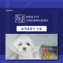 권앤정 동물외과병원 이미지