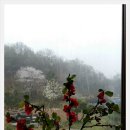 리각미술관 이미지