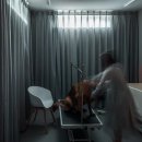 도그-in 하우스 이미지