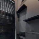 황금산 고양이 이미지