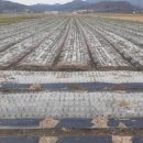 경상남도농업기술원 이미지