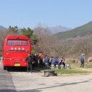 중마교
