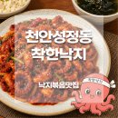 백석로 | 천안낙지맛집 착한낙지 성정점│매운맛 중독 낙지덮밥 내돈내산 솔직 후기