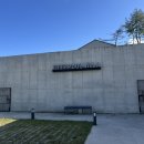 강릉독채풀빌라보늬펜션 | 강릉 지티풀빌라 독채펜션 내돈내산 후기 파인룸 스파