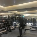 망원동 헬스장 셀프메이드짐 후기 (내돈내산)(망원역 PT)