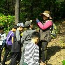 당정초등학교 Daum카페