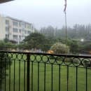 일레인호텔 이미지