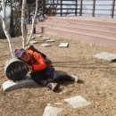 좋은 아침 이미지