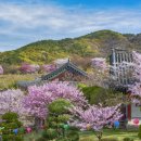 남천동 삼익비치 301동 앞 자전거대여소 이미지