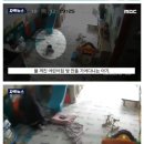 이게 살인이 아니라고 판결 내린 판사 이미지