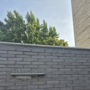 도심 속의 숲같은 🌿 삼청동 카페 포스톤즈 커피로스터스