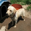 일루와농장 이미지