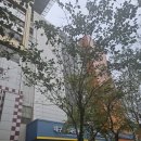 군위군효령면보건지소 이미지