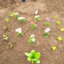 도시농업-스마트팜 전문가 과정 이미지