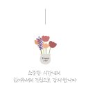 장가(메차쿠차) 이미지