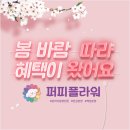 강아지분양 애견분양 퍼피플라워 하남점 | 하남강아지분양 강아지분양 애견분양 퍼피플라워 하남점 신중한 입양 기준과 초보 보호자를 위한 건강한...