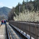 섬진강 레일바이크 이미지