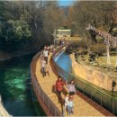 에버랜드 이미지