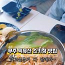 고양이발자국 네이버블로그