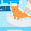 르네펫살롱 이미지