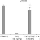 Re: 비타민 D의 fibroblast 과증식에 의한 섬유화 방지 기전(폐) 이미지