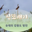 진또베기 이미지