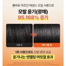 다시봄헤어 - 부산진구 | 극손상모·탈색모에 효과 좋은、ㅣ봄비유 아르간 헤어에센스