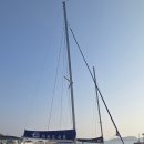 돌고래 | 제주데이트코스 차귀도요트 선셋투어 돌고래 후기