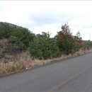 시흥리-3 이미지